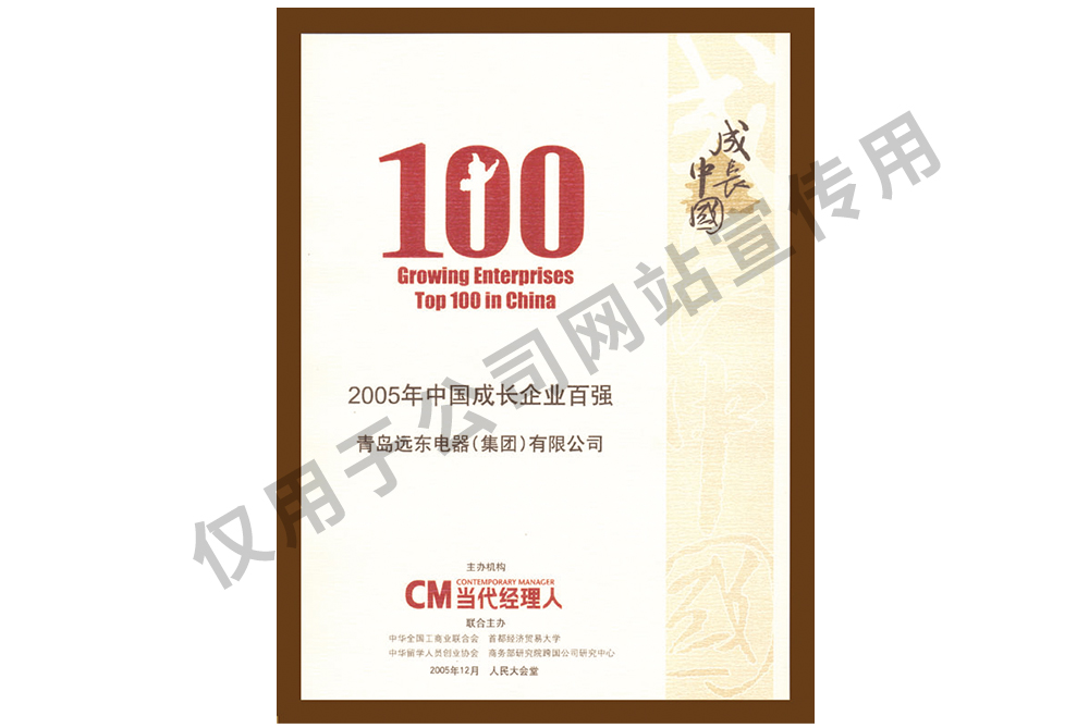 中國成長企業(yè)百強(qiáng)